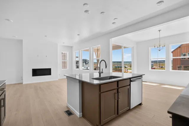 8722 Whiteclover Street in Sterling Ranch Ascent Village — interior