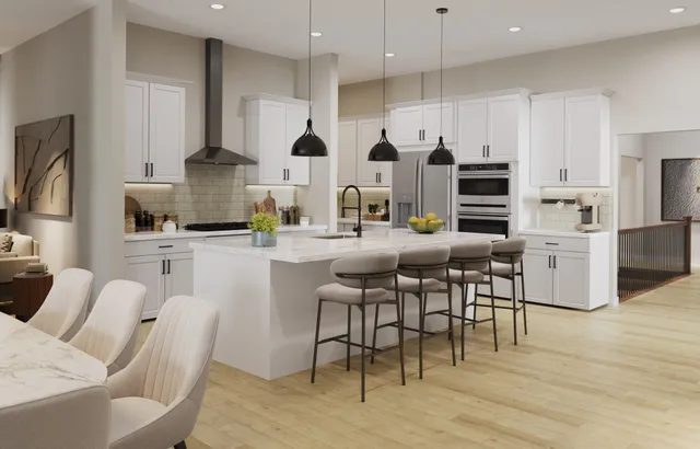 kitchen cam