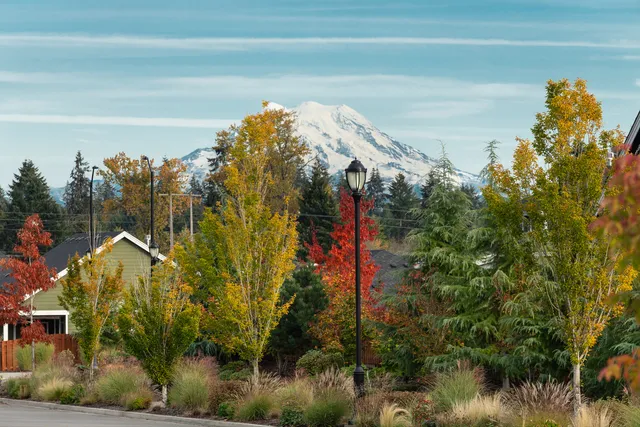 Ovation at Oak Tree Mt Rainier Fall Colors 2024.jpg